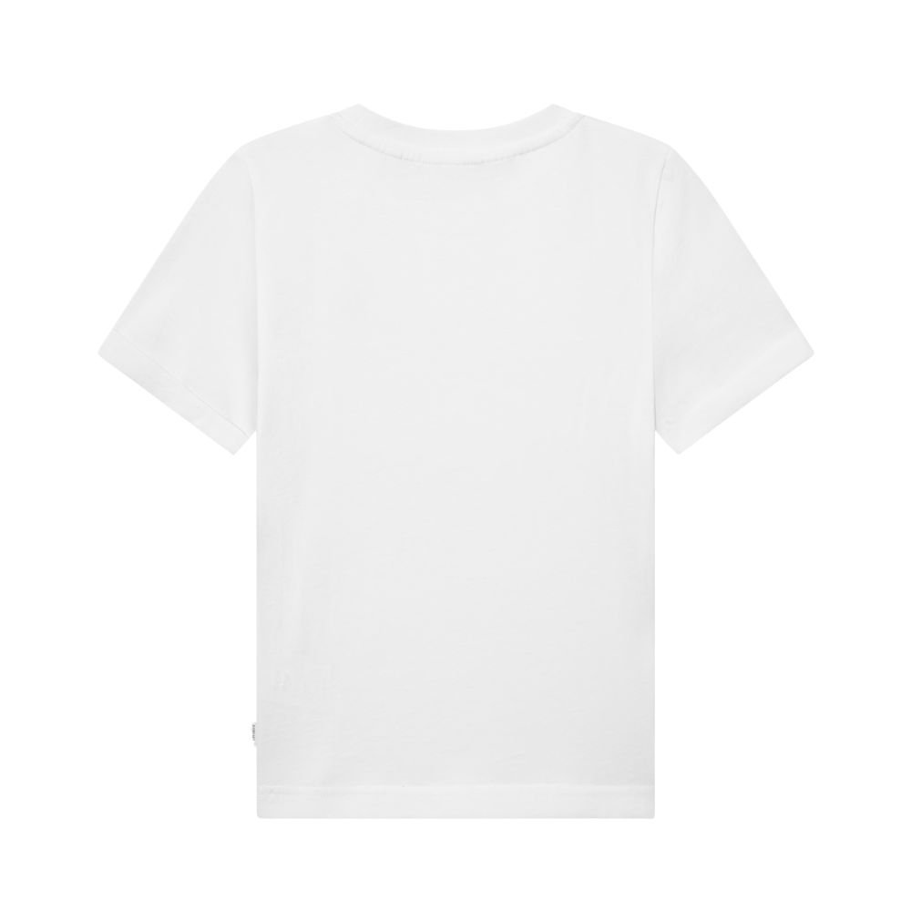 VÖRUMYNDIR - 2025-08-14T161224.187.png